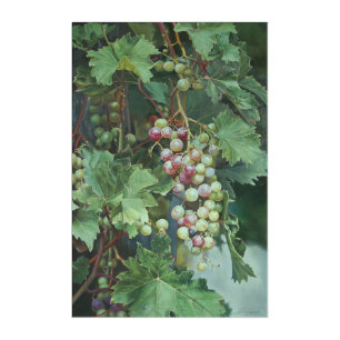 Realistic Grape Vine with Leaves – Fine Art
