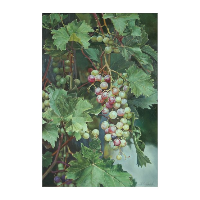 Realistic Grape Vine with Leaves – Fine Art (Front)
