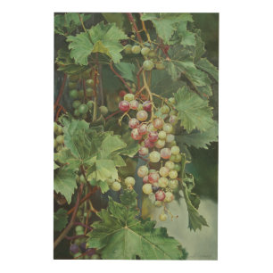 Realistic Grape Vine with Leaves – Fine Art