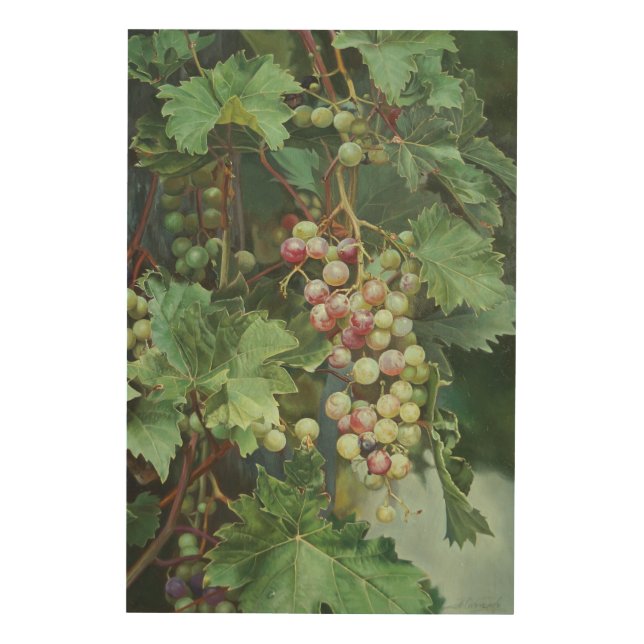 Realistic Grape Vine with Leaves – Fine Art (Front)