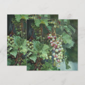 Realistic Grape Vine with Leaves – Fine Art (Front/Back)