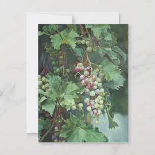 Realistic Grape Vine with Leaves – Fine Art Postcard