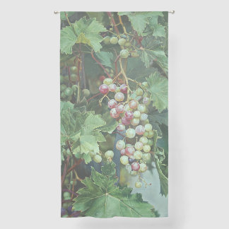 Realistic Grape Vine with Leaves – Fine Art Sheer Curtains
