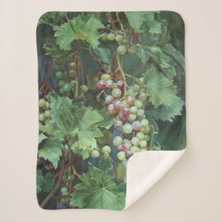 Realistic Grape Vine with Leaves – Fine Art Sherpa Blanket