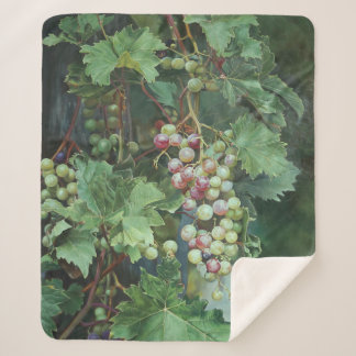 Realistic Grape Vine with Leaves – Fine Art Sherpa Blanket