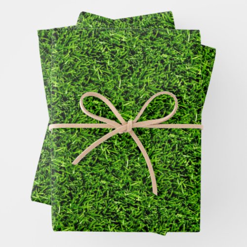   Realistic Grass Photo Texture Funny Bright Green Wrapping Paper Sheets