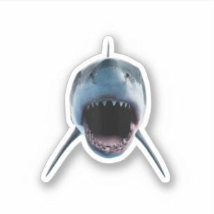 realistic great white shark Attack for lovers Sticker