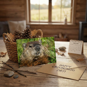 Realistic Groundhog Close Up Nature Wildlife Photo Postcard