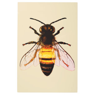 Realistic Honey Bee Art Illustration