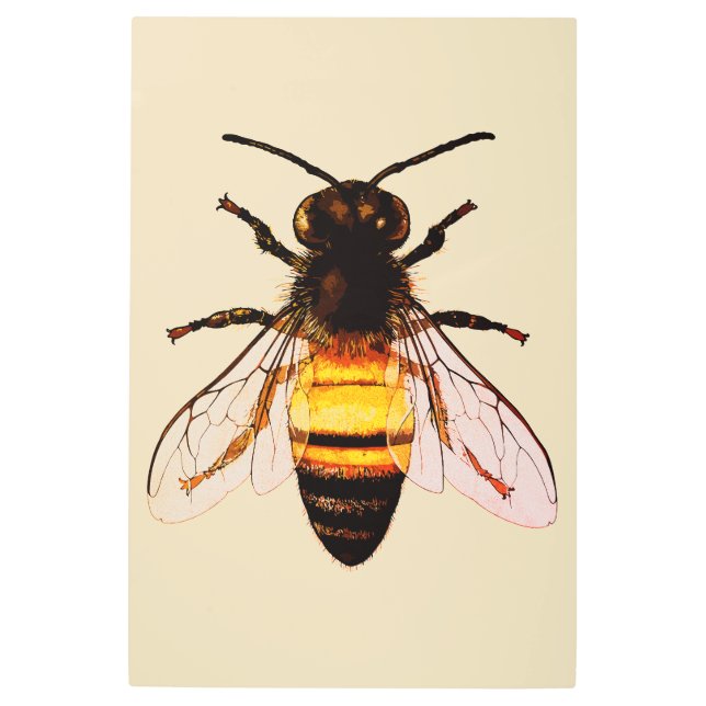 Realistic Honey Bee Art Illustration (Front)