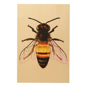 Realistic Honey Bee Art Illustration