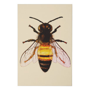 Realistic Honey Bee Art Illustration Faux Canvas Print