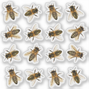 Realistic Honeybee Beekeeper Stickers