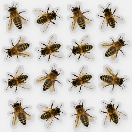 Realistic Honeybee Beekeeper Stickers