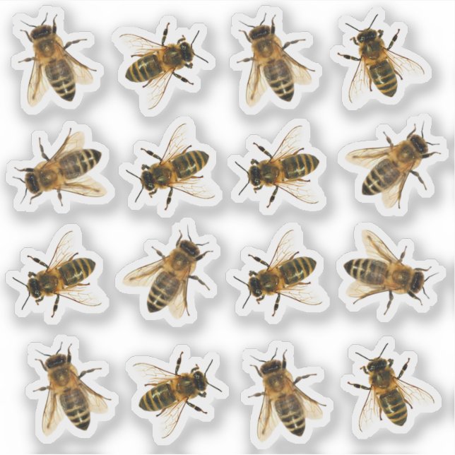 Realistic Honeybee Beekeeper Stickers (Front)