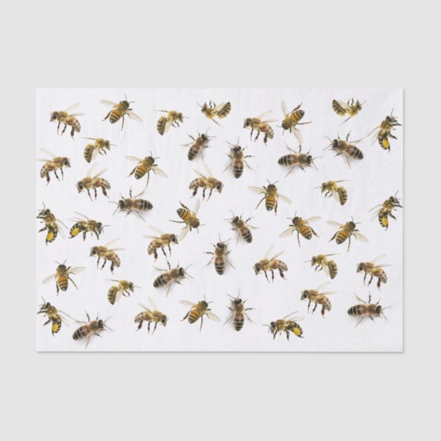 Realistic Honeybee Wrap or Decoupage Tissue Paper (Front)