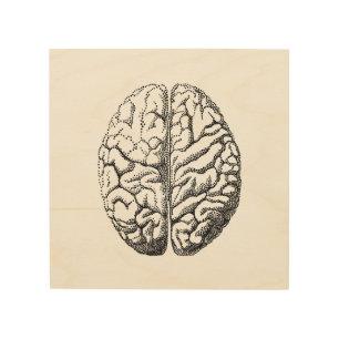 Realistic human brain wood wall art