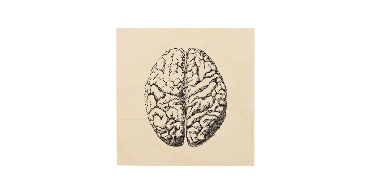 michelangelo sistine chapel brain