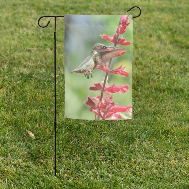 Realistic Hummingbird Garden Flag (In SItu)