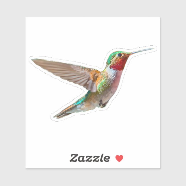 Realistic Hummingbird Sticker (Sheet)