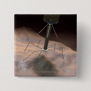 Realistic Illustration of bacteriophage Button