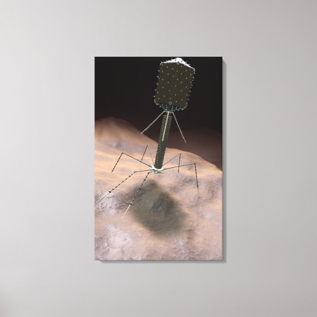 Realistic Illustration of bacteriophage Canvas Print (Front)