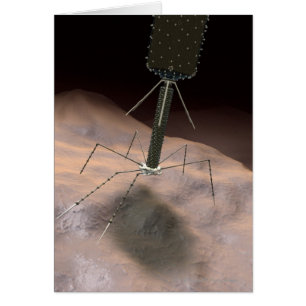 Realistic Illustration of bacteriophage Cards