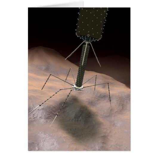 Realistic Illustration of bacteriophage Cards (Front)