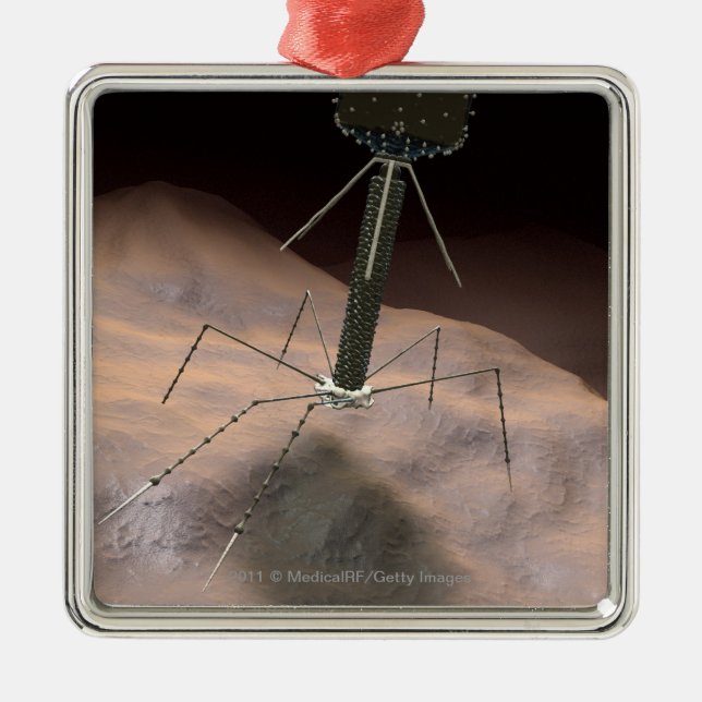 Realistic Illustration of bacteriophage Metal Ornament (Front)