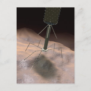 Realistic Illustration of bacteriophage Postcard