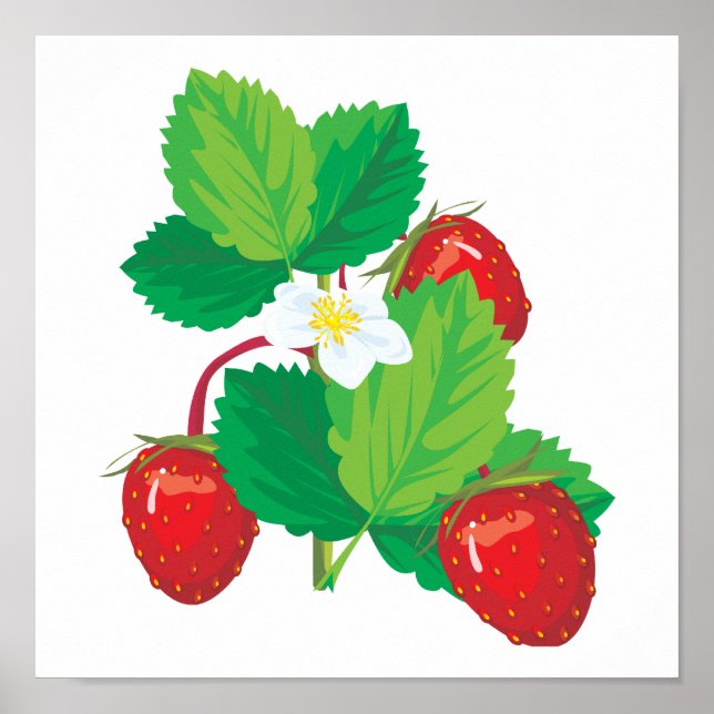 realistic juicy strawberries poster (Front)