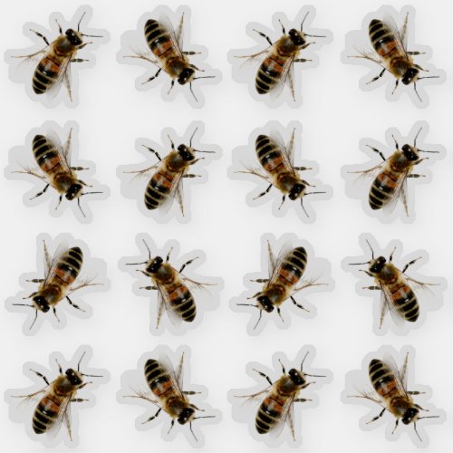 Realistic Life_size Honeybee Beekeeper Stickers