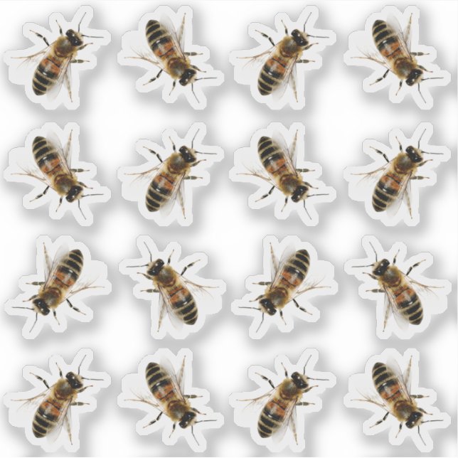 Realistic Life-size Honeybee Beekeeper Stickers (Front)