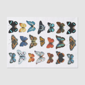 Realistic Looking Butterfly Collection Fussy Cuts Tissue Paper