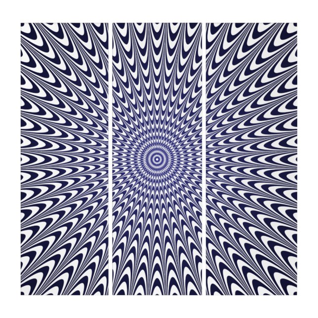 Realistic Optical Illusion Triptych Wall Art – 3D  (Front)