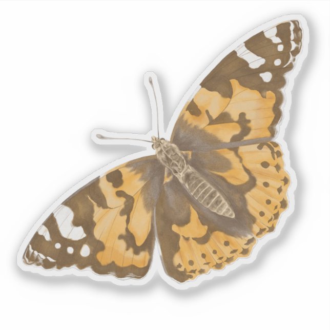 Realistic Orange and Brown Hand-Drawn Butterfly Sticker (Front)