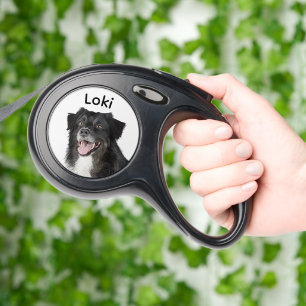 Realistic painting of a beautiful dog Pet Leash