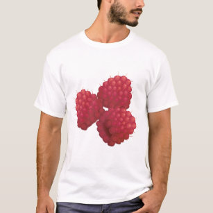 the raspberries t shirt