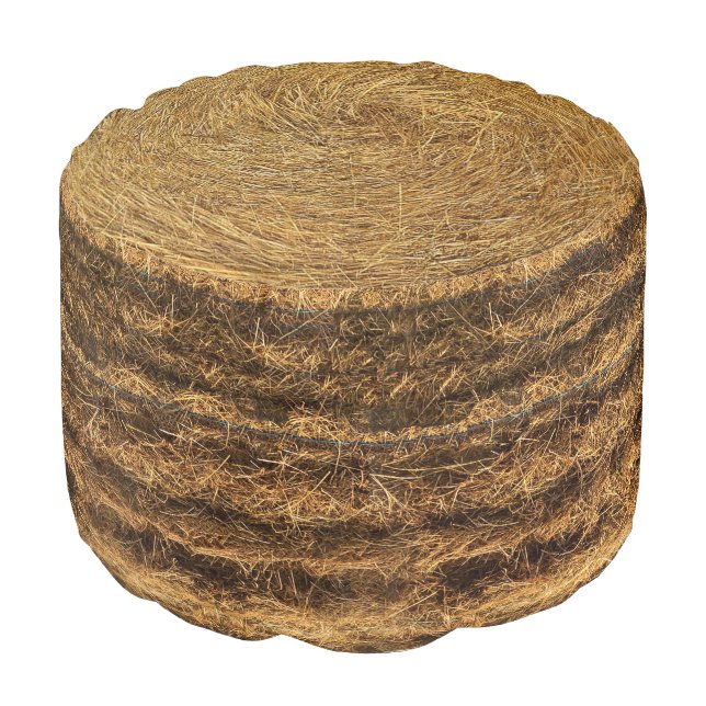 Realistic Round Hay Bale Pouf (Angled Front)