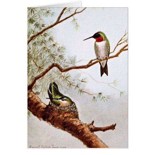 Realistic Ruby-Throated Hummingbird Art Cards (Front)