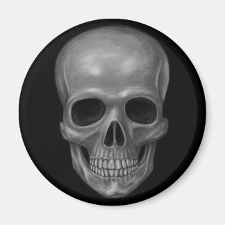 Realistic Skull Magnet
