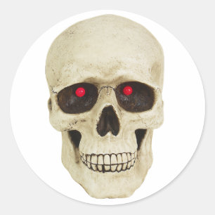 Realistic Skull stickers