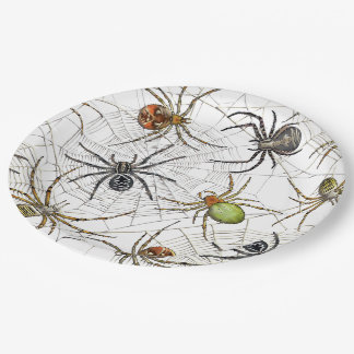 Realistic Spiders Web Pattern Paper Plates