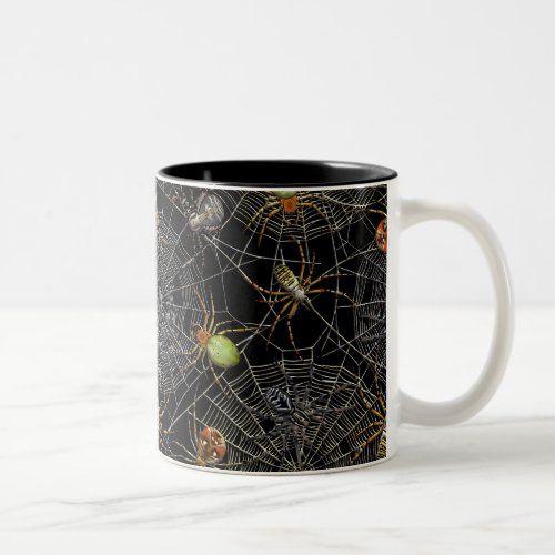 Realistic Spiders Web Pattern Two_Tone Coffee Mug