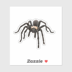 Realistic Tarantula Spider Sticker