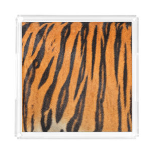 Realistic tiger skin texture. acrylic tray