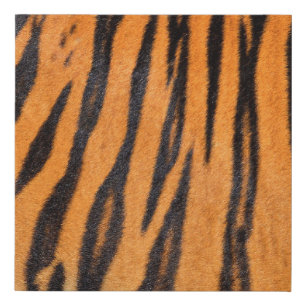 Realistic tiger skin texture. faux canvas print
