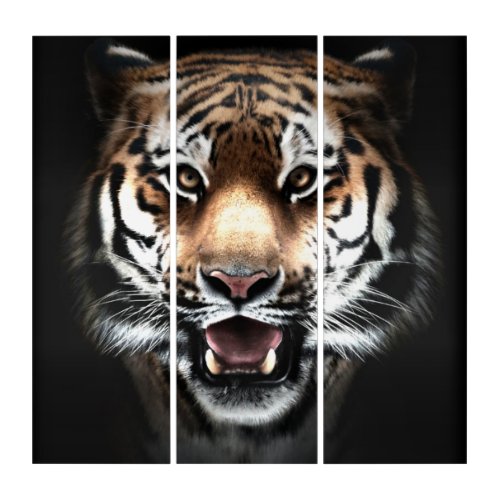 Realistic Tiger Wildlife Print Triptych