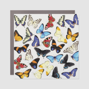 Realistic vintage butterflies collection. car magnet