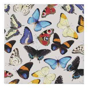 Realistic vintage butterflies collection. faux canvas print